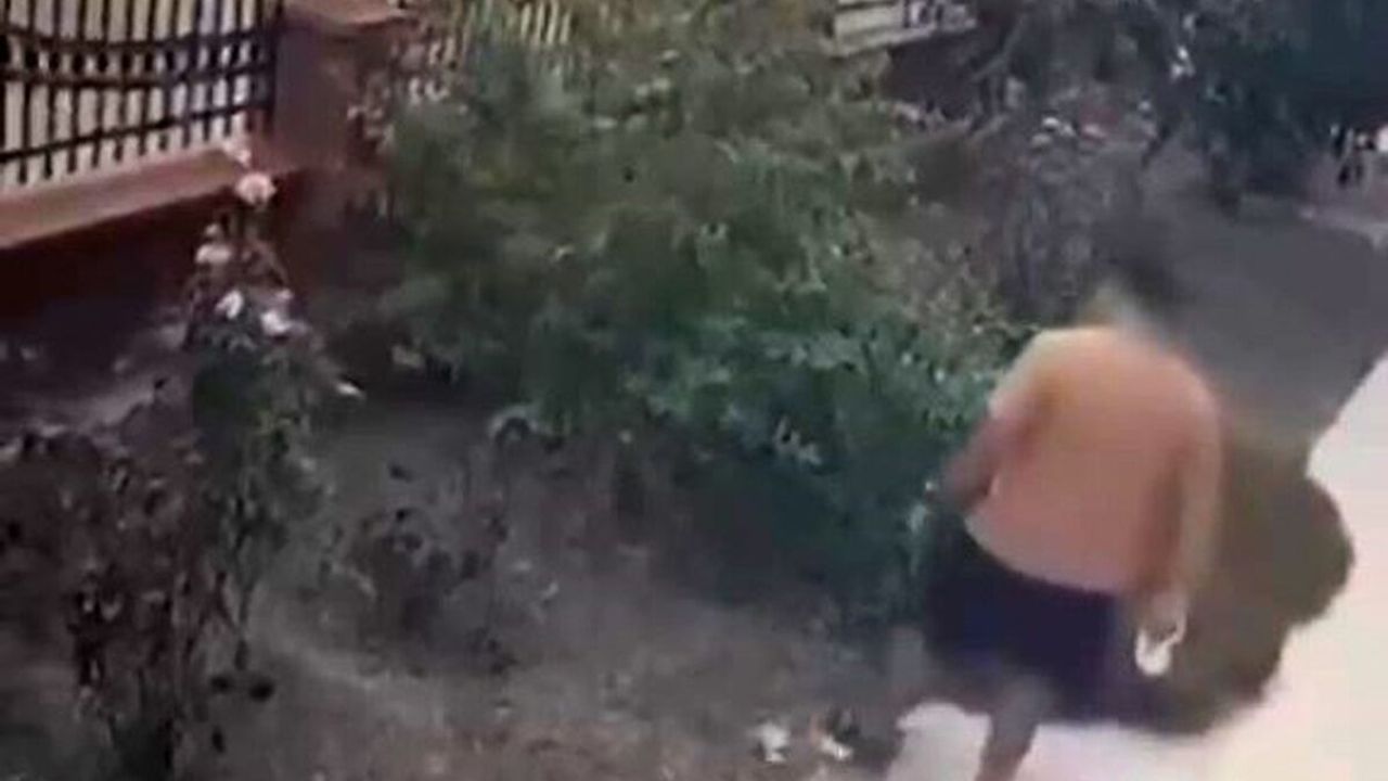 Anne kediye tekme atan şahsa ceza!