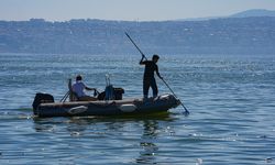 İzmir Körfezi'nde balık ölümleri sürüyor