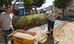 Karabağlar Belediyesi’nden çevre dostu dokunuşlar