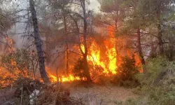 Çanakkale’de orman yangını çıktı