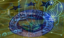 Fenerbahçe hisseleri yılın kazananı