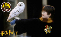 Harry Potter üzerine : Büyülü mü yoksa hayal kırıklığı mı?