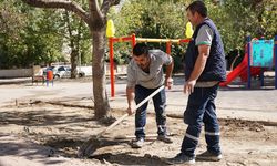 Kemalpaşa'da parklar yeniden hayat buluyor