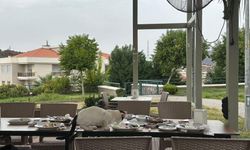 Körfez Kafe’de hijyen skandalı