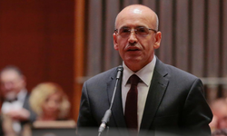 Mehmet Şimşek kimdir?