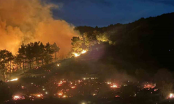 Muğla Dalaman'da orman yangını!