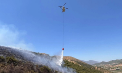 Muğla’da orman yangınlarında son durum!