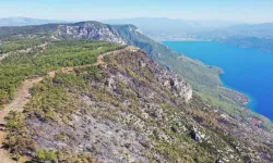 Muğla’daki yangınlarda 849 hektar alan kül oldu