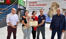 Karabağlar'da patili yoldaşlara yeni yuvalar