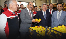 İzmir'de satsuma sezonun ilk ihracatı için yola çıktı