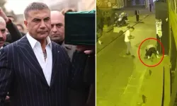 Sedat Peker’den taciz olayına tepki: Adalet Reis Sedat Peker’dir