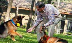 Ratan Tata, 4 milyar TL'lik servetini köpeği Tito'ya bıraktı!