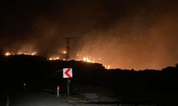 İzmir Seferihisar'da korkutan yangın!