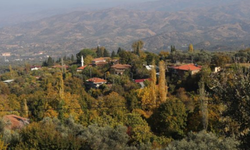 İzmir'in doğal cenneti Bademli Köyü