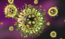 Yeni Kovid-19 varyantı 'Cicada' nedir, nasıl yayılır?