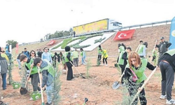 Aydın binlerce fidanı toprakla buluşturacak