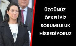 İzmir Efes Selçuk Belediye Başkanı'ndan yangınla ilgili açıklama: Çok üzgünüz