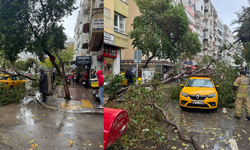 İzmir Mithat Paşa Caddesi'nde taksinin üstüne ağaç devrildi!