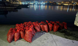 İstanbul Üsküdar'da 2 ton kaçak midye ele geçirildi!