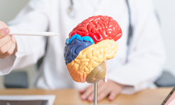 Bilim insanlarından kritik uyarı: Yaygın kullanılan tarım ilacı Parkinson riskini artırabilir