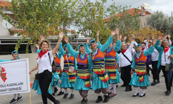 İzmir Seferihisar'da zeytin hasadı ilk defa festival olarak kutlandı