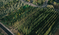 İzmir'de doğaya saygılı sürdürülebilir tarım: Uzbaş Arboretum