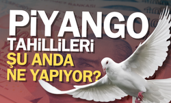 Milli Piyango'yu tutturanlar şimdi ne yapıyor?