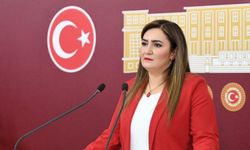 CHP İzmir Milletvekili Sevda Erdan Kılıç, 2025 bütçe görüşmelerinde hükümeti topa tuttu