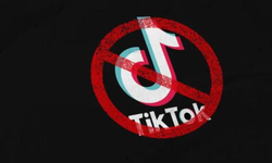 Arnavutluk, TikTok'u bir yıllığına yasakladı