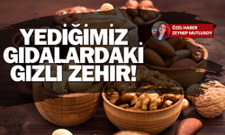 Aflatoksinler nedir? Yediğimiz yiyeceklerin içinde bulunuyor mu?