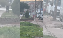 İzmir Buca'da kaldırım taşı hırsızlığı kamerada!