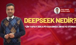 Uzmanlar DeepSeek hakkında ne düşünüyor?