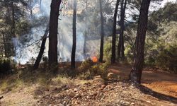 Fethiye'deki orman yangını, itfaiye ve orman ekiplerinin müdahalesiyle söndürüldü