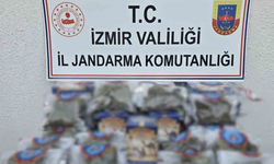 İzmir’de jandarmadan uyuşturucu operasyonu: 2 şüpheli gözaltında!