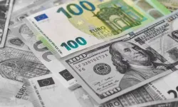 Euro üzerinde baskı artıyor: Dolar karşısında iki yılın en düşük seviyesi