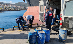 İzmir Dikili'de kaçak avlanan 600 kilogram deniz patlıcanı ele geçirildi!