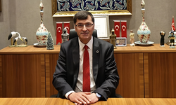Kütahya Belediye Başkanı'ndan sokak hayvanları ile ilgili açıklama geldi