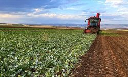 Çiftçiler zorda: Üretimin devamı için desteğin sürmesi gerekiyor!