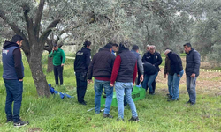 Acı kayıp sonrası bunalıma girmişti: Zeytin bahçesinde ölü bulundu!