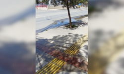Konak'ta elektrik direği dibinden su akıyor!