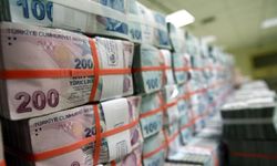 Bakanlık 240 milyon dağıtacak
