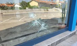 Fethiye'de AK Parti İlçe Başkanlığı'na taşla saldıran şüpheli tutuklandı