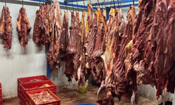 2,5 ton at eti ele geçirildi, hepsini vatandaşa yedireceklerdi