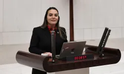 İYİ Partili milletvekili Ayyüce Türkeş’e babası Alparslan Türkeş'in kabrinde saldırı
