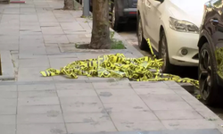 Boşandığı şahıs tarafından öldürülen Bahar Aksu cinayetinde 4 tutuklama!
