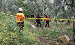 Kayıp emekli öğretmen zeytinlik alanda asılı halde ölü bulundu!