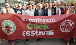 Emiralem Çilek Festivali uluslararası yola giriyor