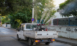 Gaziemir’de sivrisinek ve haşerelere karşı yoğun mücadele