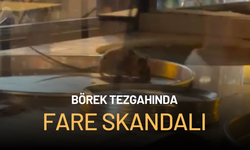 Börek tezgahında fare skandalı