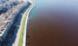 İzmir Körfezi bu sene de kokacak mı?